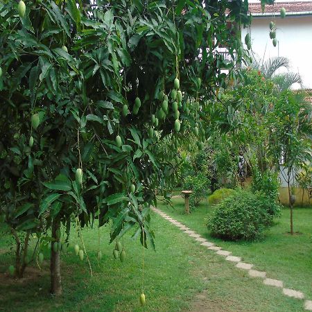 Secret Bay Hotel Matara Bagian luar foto