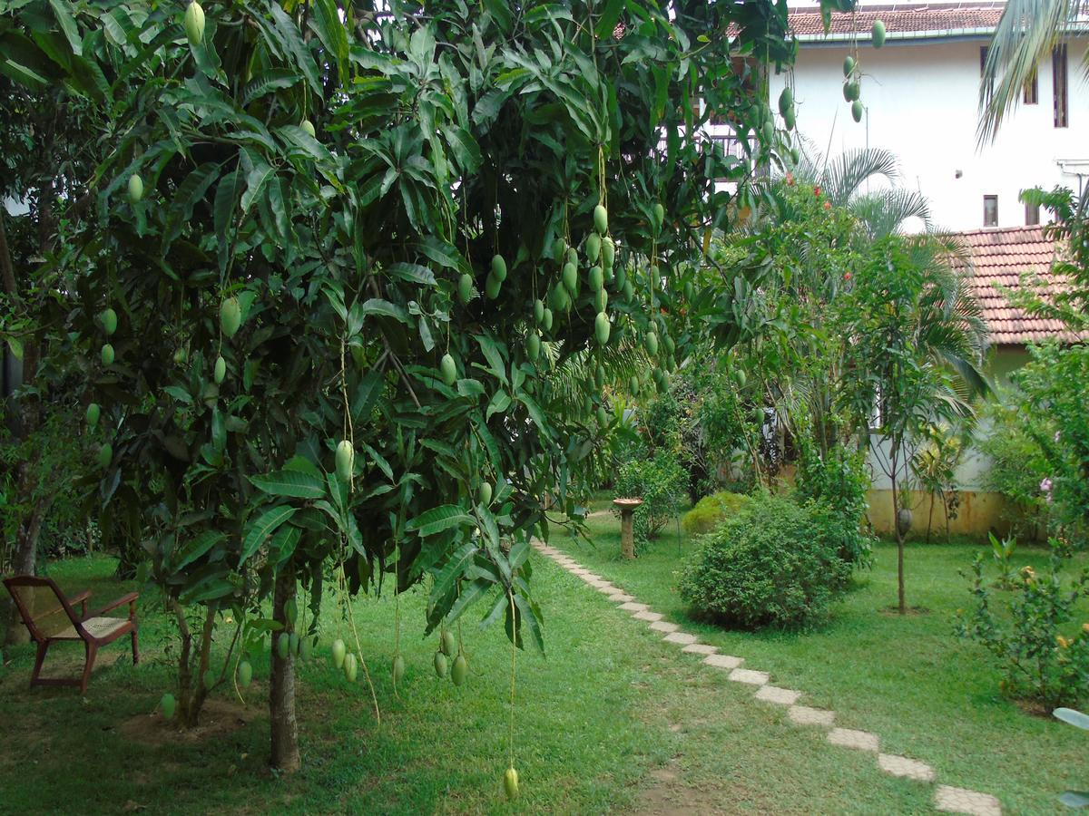 Secret Bay Hotel Matara Bagian luar foto