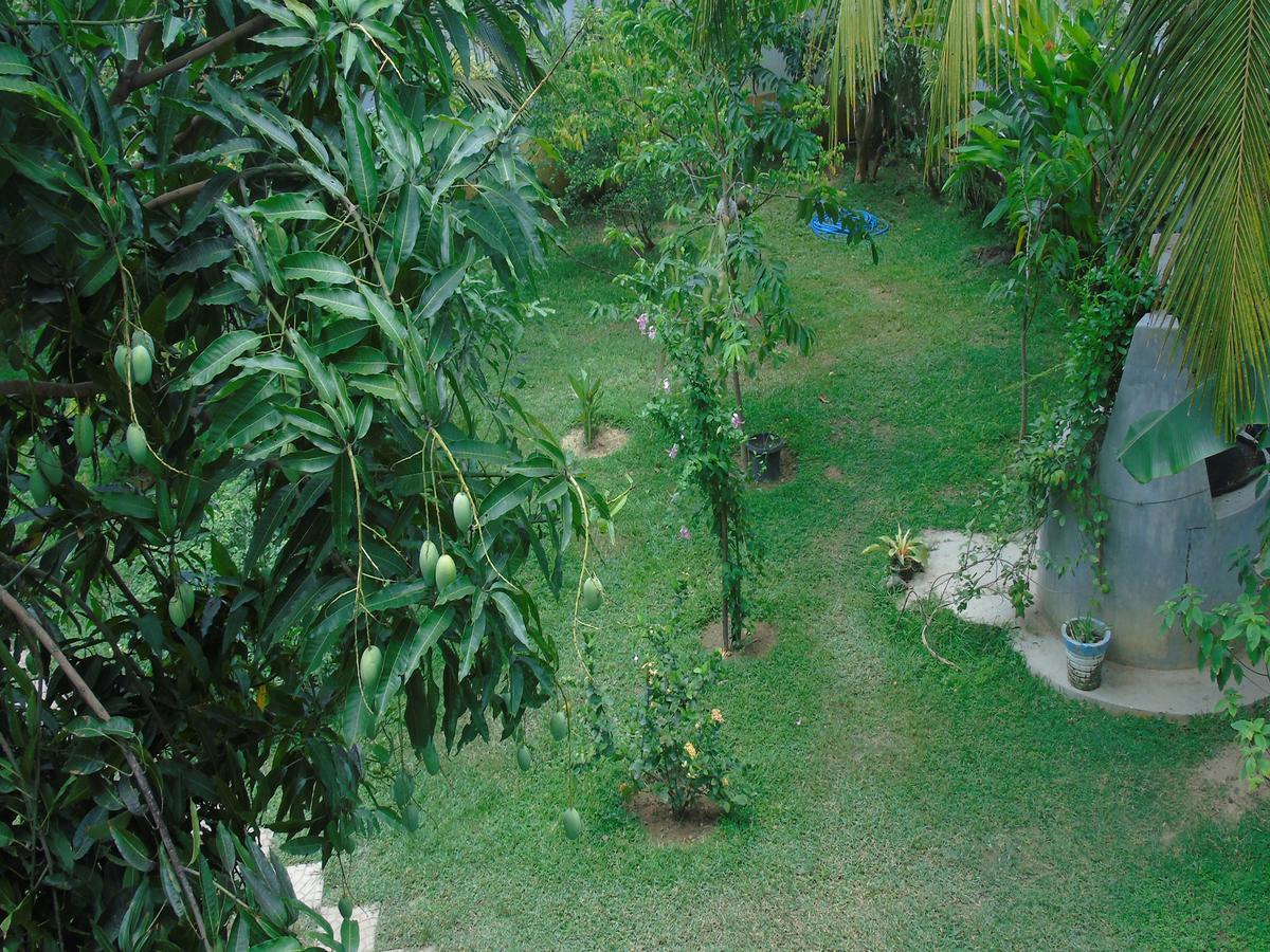Secret Bay Hotel Matara Bagian luar foto
