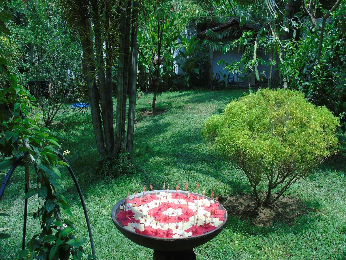 Secret Bay Hotel Matara Bagian luar foto